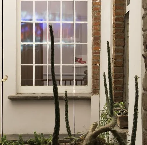 El Patio 77